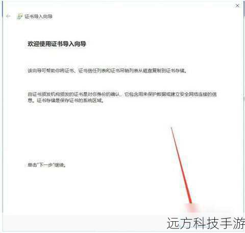 3、手动添加证书:对于部分不支持自动安装的浏览器,可以手动导入证书文件。