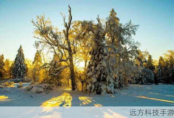 元素选择:利用雪花、冰晶、森林等自然元素作为装饰,增加季节感,考虑加入一些现代元素,如简约线条、几何图案,以展现个性。