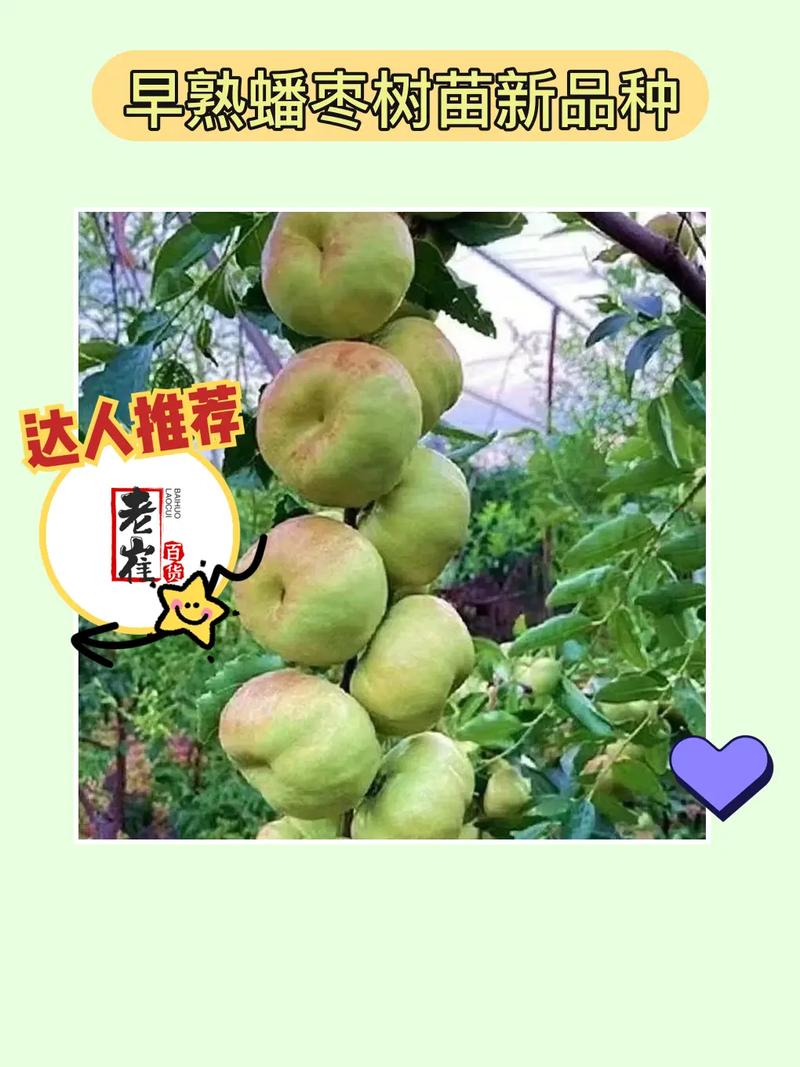 研究与培育:使用稀有资源进行研究,解锁并培育稀有史莱姆。