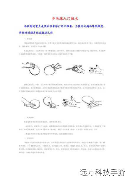 基础操作与技巧
