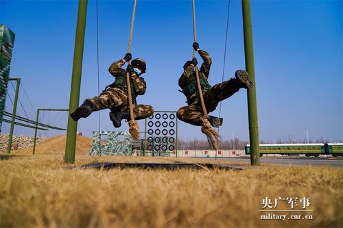 1、基础训练:包括身体素质的训练、忍术基础的学习等。