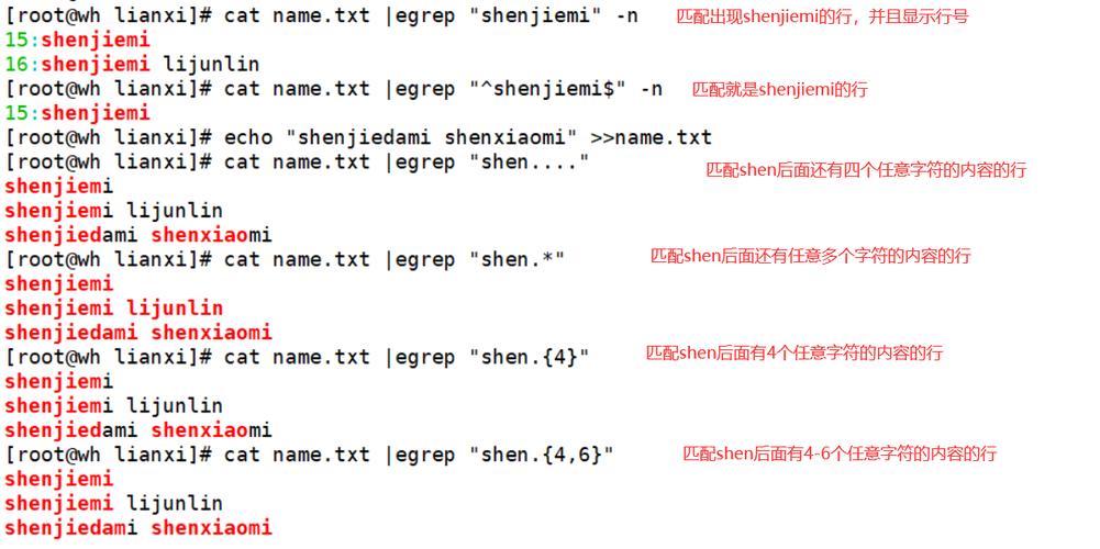 通过以上内容,我们不仅了解了如何使用正则表达式匹配IP地址,还探讨了其在实际应用中的技巧和限制,正则表达式是编程和数据分析中不可或缺的工具,掌握其使用方法可以帮助我们在复杂的数据处理任务中游刃有余。