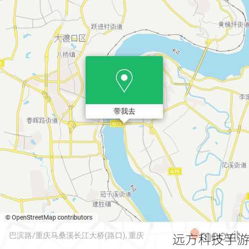 4、搜索地点:在“离线地图”页面顶部的搜索栏输入你想下载的地点名称,北京”、“巴黎”等。