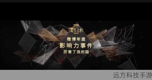精彩亮点