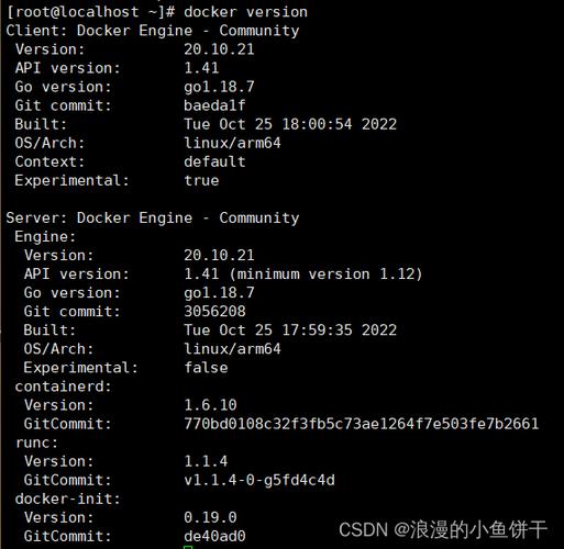 应显示类似于go version go1.18.3 darwin/amd64的信息。