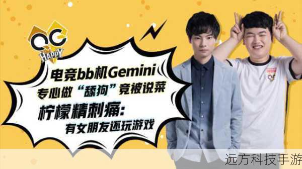 4. Gemini
