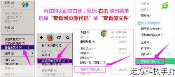 5. 通过网页源代码查看图片