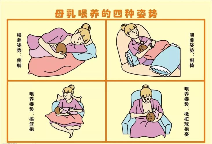 问题 2:如何正确喂养宝宝?