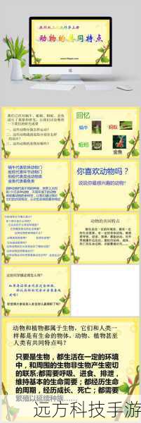 特点: