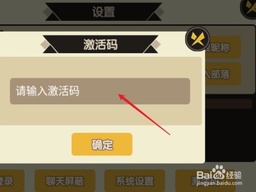 4. 正确输入激活码