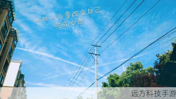 在感情和事业的交织中,安安逐渐成长和成熟,她学会了如何更好地处理各种关系,如何在困境中寻找希望。