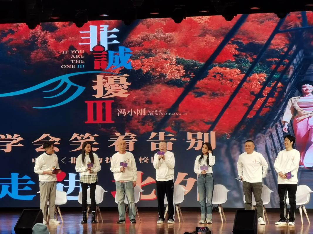 问题 1:非诚勿扰 20131116 什么时候开始?