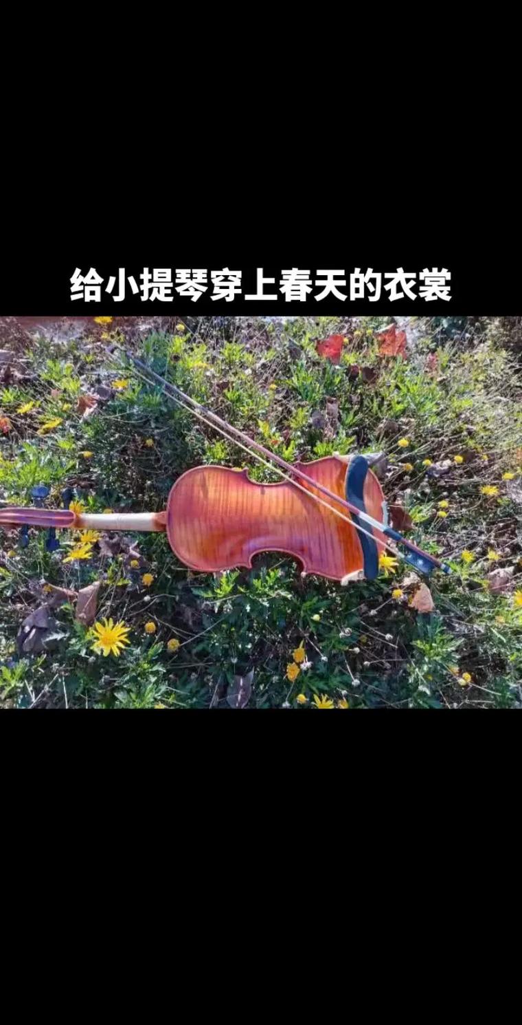 对于一些较冷门的歌曲,光靠记忆可能难以识别,这时,利用游戏内置的音乐知识库或者网络资源,搜索歌曲名称,往往能快速找到答案。