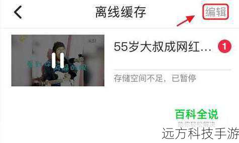 - 清理播放器缓存,有时候过多的缓存文件会导致播放不流畅。