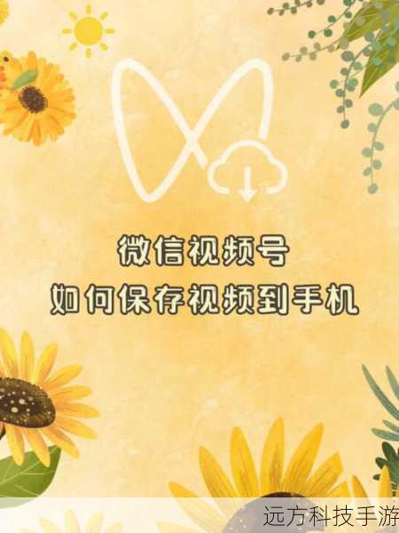 问题2:如何快速找到我喜欢的视频?