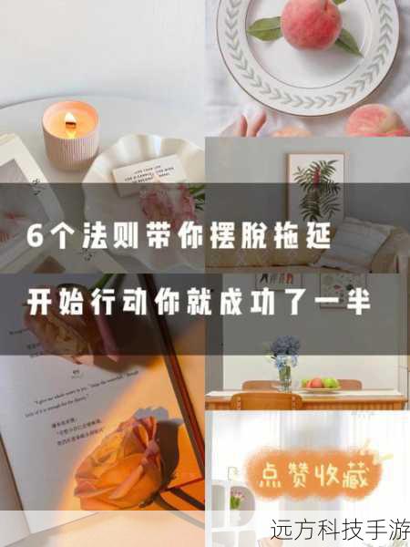 在开始之前，请确保你已经准备好以下物品：