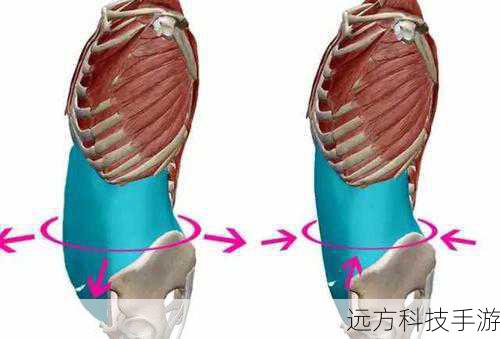 副系:撕裂者与狂战士之怒根据战斗环境灵活加点,撕裂者用于快速连招,狂战士之怒则在需要控制敌人时使用。