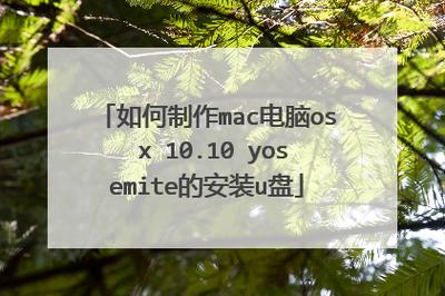 通过上述步骤,你可以轻松地制作出MAC OS X Lion启动U盘,并完成系统的安装,在整个过程中,保持耐心和细心,遵循每一步指导,相信你能够顺利完成这项任务,享受到自定义操作系统的乐趣。
