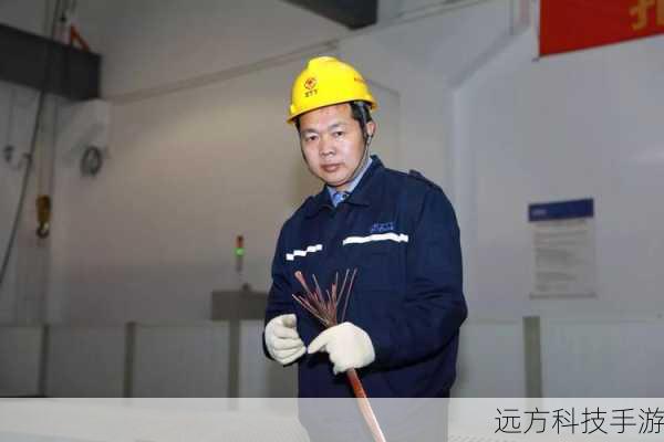 还有众多角色,他们或是技术骨干,或是市场开拓者,或是后勤保障人员,每个人都在这个创业年代中留下了自己的足迹。