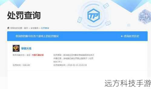 - 确保游戏环境安全,避免使用于非法或被封禁的平台。