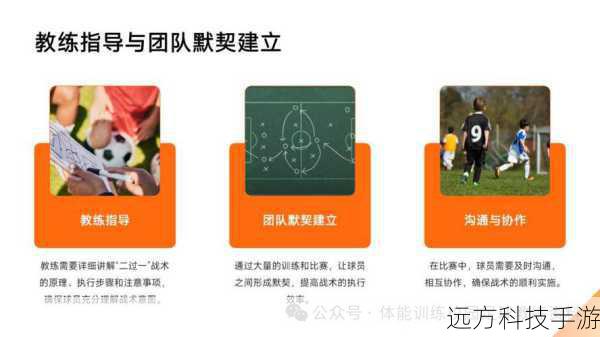 技能解析与战术应用