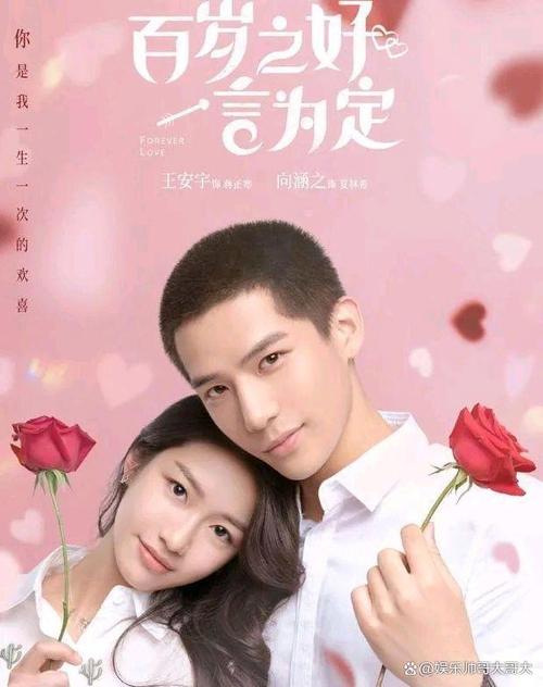 这部剧通过这些生动的角色,展现了青春时期的美好情感和成长历程,让观众们在观看的过程中回忆起自己的青春岁月,感受到青春的魅力与力量。