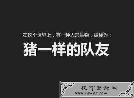自保与支援并重:在确保自身安全的同时,也要时刻关注队友的状态,合理分配治疗资源。