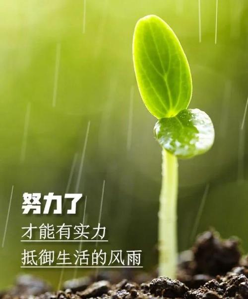 答:赵国武性格坚定勇敢,有强烈的责任感和使命感,面对战争的残酷毫不退缩,同时也有着柔情的一面,对家人和爱人充满关爱。