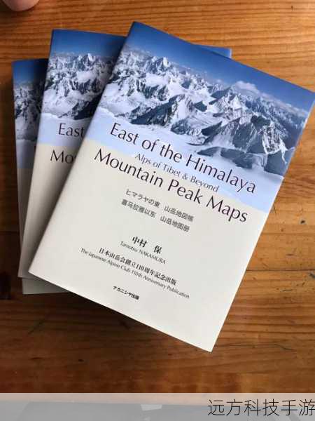 狮子拱门地图以山岳为主,分布着多个观景点,每个观景点都拥有独特的资源和景观,你需要熟悉地图上的主要路线和关键地点,比如通往各个观景点的道路、安全点和资源点的位置,利用地图标记系统,可以更直观地规划你的探险路线。