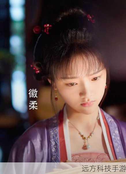 徽柔公主,任敏饰演,她是仁宗最宠爱的女儿,但命运却多舛,其情感经历令人动容。