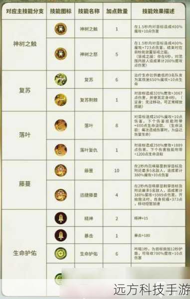 基础加点策略