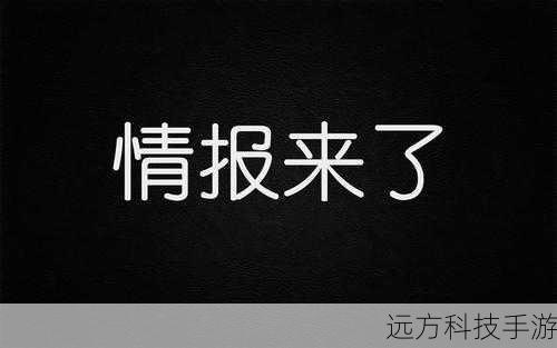 那个谁，邵崇柏饰演，总是神出鬼没，有着超强的情报收集能力。