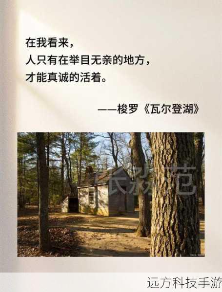 而另一边,邝海生依然默默地守护在何小蝉身边,他的深情让人感动,他们的感情之路虽然充满波折,但邝海生始终没有放弃。
