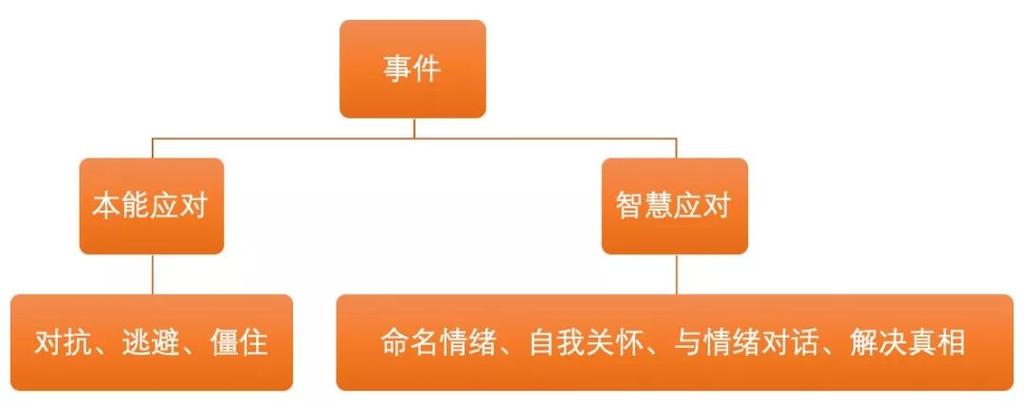 答:南兰在这一集中主要是与恶势力进行对抗,她利用自己的智慧和资源来保护身边的人,展现出了强大的勇气和决心。