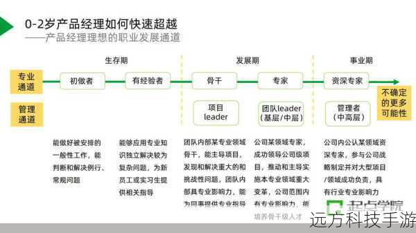 高级攻略:技能树与职业发展