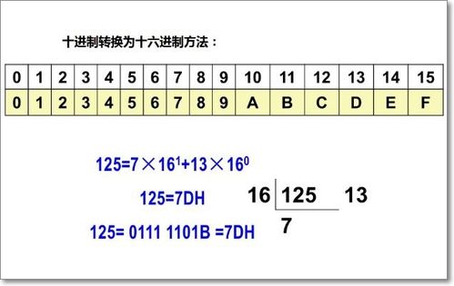 4. 高级十六进制编辑