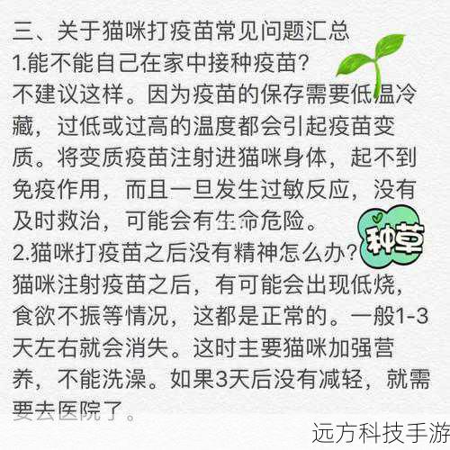 3. 更新过程中的注意事项