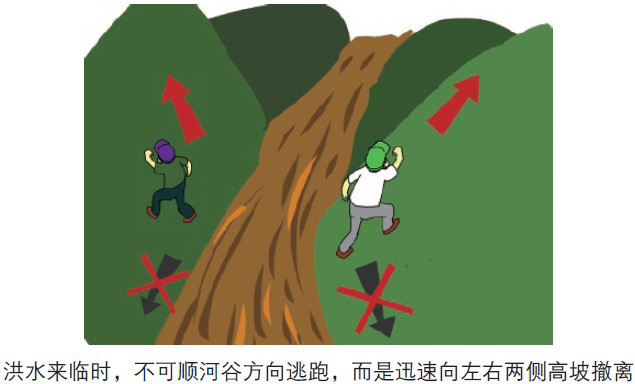 3、逃生路径:在战斗中为队伍预留安全的撤退路线,避免陷入绝境。