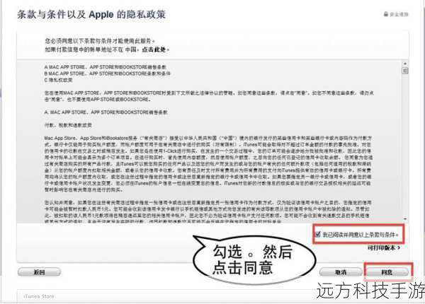 按照提示阅读并接受微软的许可协议条款。