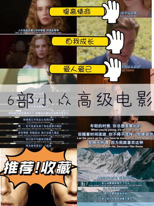 在确保资源来源合法的前提下，使用专业的电影下载工具也是一个不错的选择，这类工具通常会提供清晰的搜索界面和过滤功能，帮助用户快速找到并下载合法的电影资源，使用豆瓣电影网站进行搜索，找到合法链接后，再通过浏览器或下载工具进行下载。