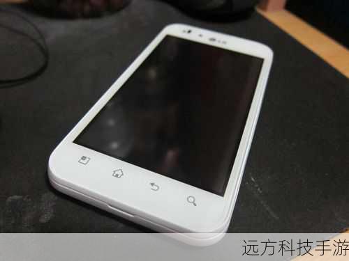 A: LG P970非常适合追求复古情怀、喜欢单手操作的用户,以及作为备用机或送给长辈的礼物,其小巧的机身、流畅的性能和不错的拍照能力,都能满足这些用户的需求。