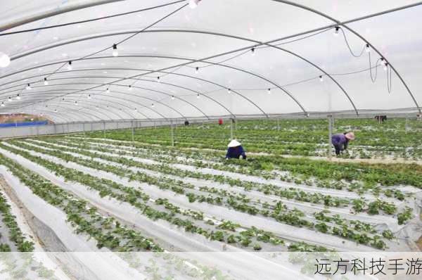 2. 资源种植与养殖