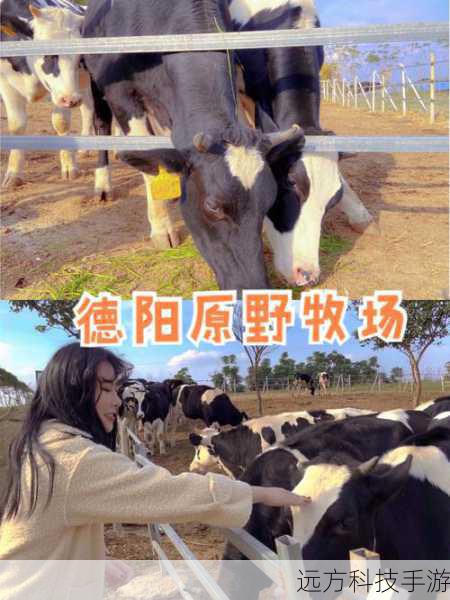 庄园内设有多种农田和牧场供玩家种植作物和养殖动物,根据季节变换和天气情况,合理安排种植和养殖计划,可以有效提高产出,通过研究解锁更高效的耕作技术和饲养方法,进一步提升资源产出效率,还可以利用特殊道具和活动奖励,增加资源产量,实现财富积累。