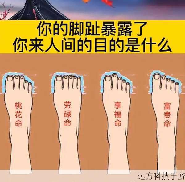 五福到手势解析