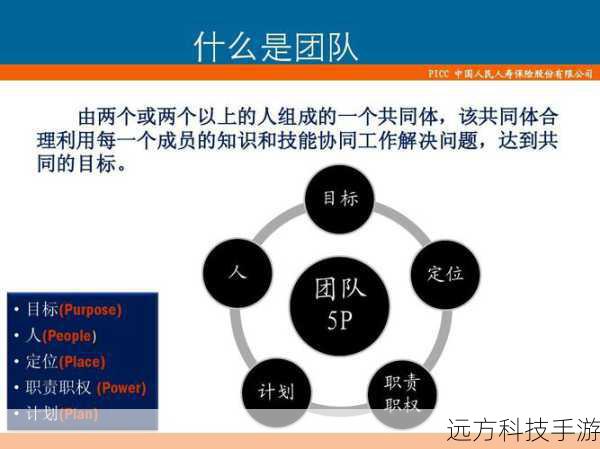 团队配合:在组队时考虑队友的技能搭配,合理分配技能加点以达到最佳团队输出效果。