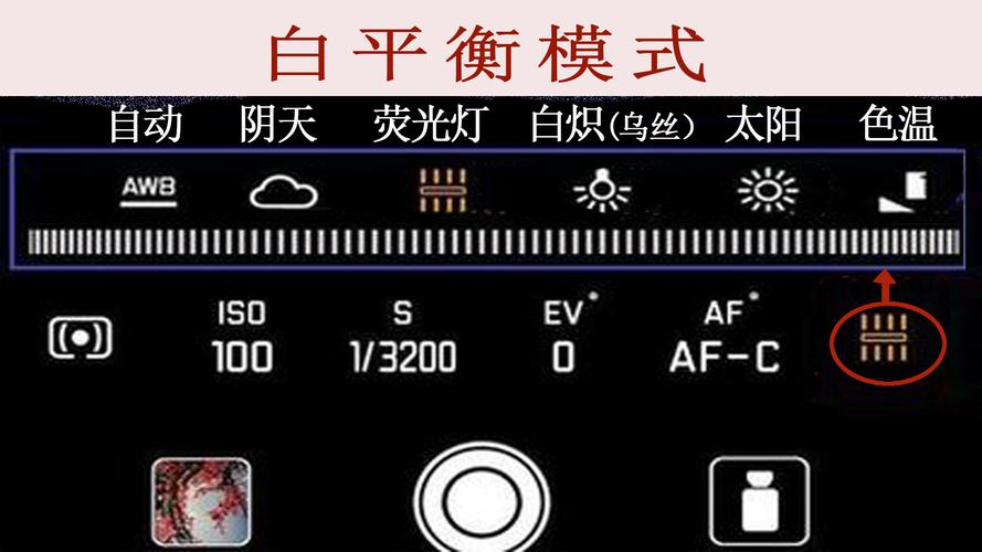 功能与操作:全手动VS专业对焦