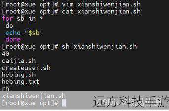 Linux Shell编程，解锁循环语句的无限可能与实用案例