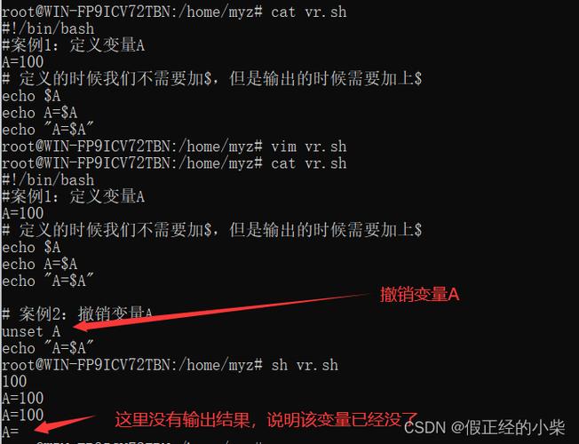 问题1：如何在Linux Shell中检查环境变量是否存在？