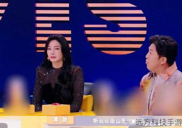 林青霞参加过的综艺节目也不在少数,偶像来了》,这档节目让观众看到了她与其他女明星之间的真挚友谊和互动,她在节目中的表现自然而又大方,赢得了观众的喜爱和尊重。