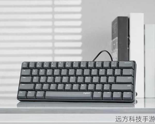 除了上述亮点外，雷柏E6500在细节处理上也同样出色，键盘底部设有防滑脚垫，确保在使用过程中稳固不滑动；支持Windows/Mac双系统快捷键，满足不同用户的操作习惯；背光设计虽然简约，但在夜晚使用时也能提供足够的照明，保护视力不受损。
